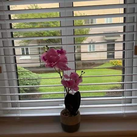 Quite And Cozy 2 Bedroom Galway